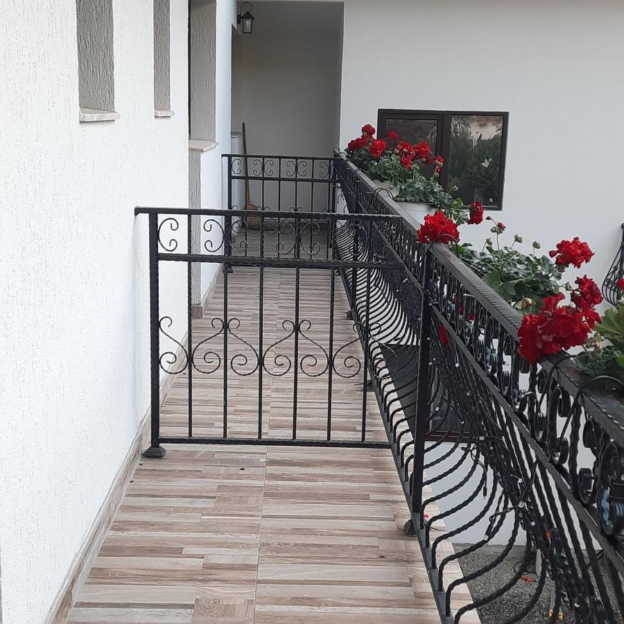 Hotel Casa Dana Olteanu Moeciu De Sus Exterior foto