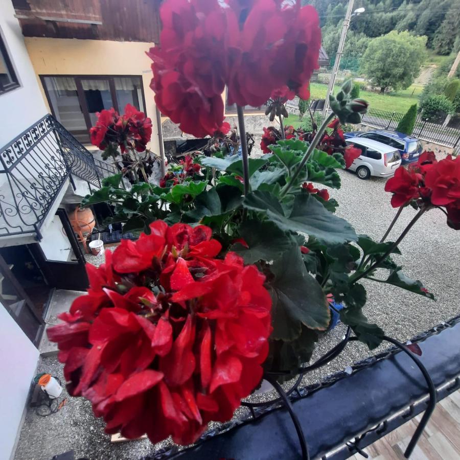 Hotel Casa Dana Olteanu Moeciu De Sus Exterior foto